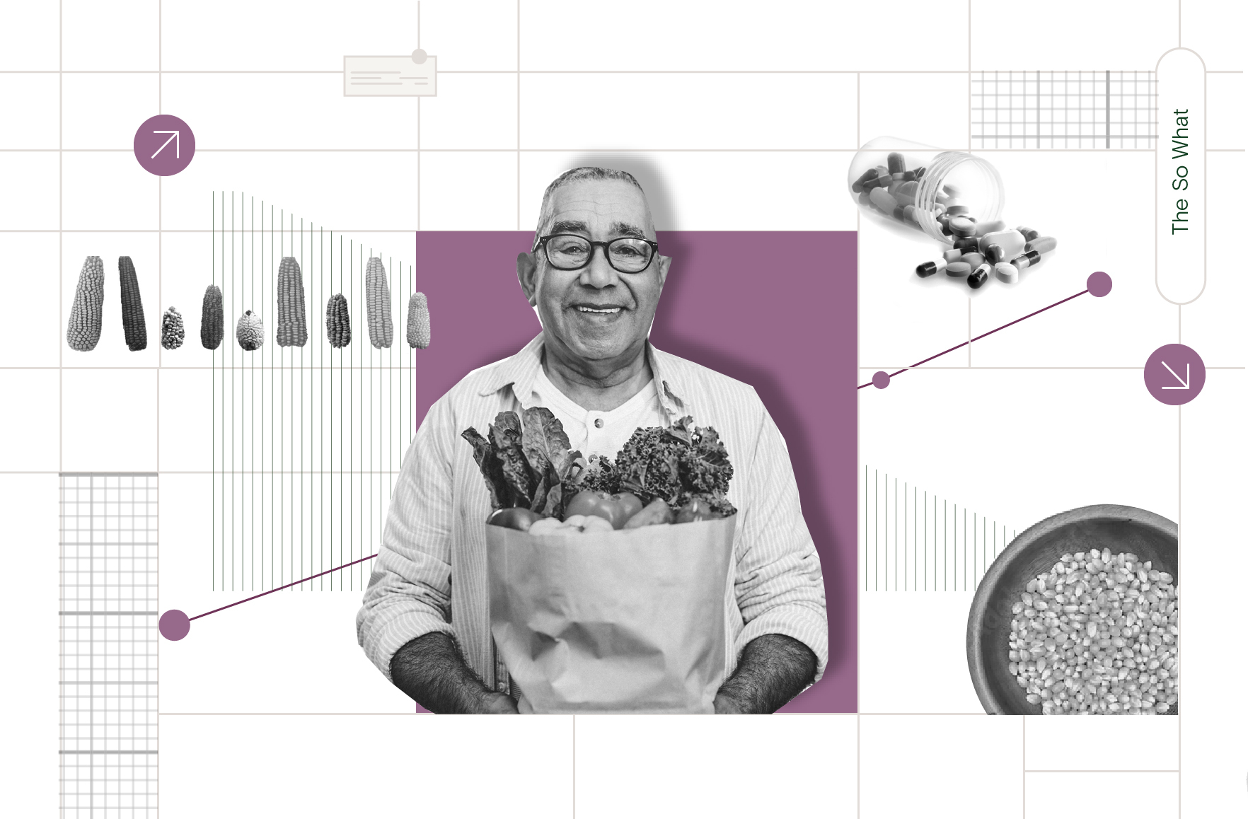 Bioactives and Human Health